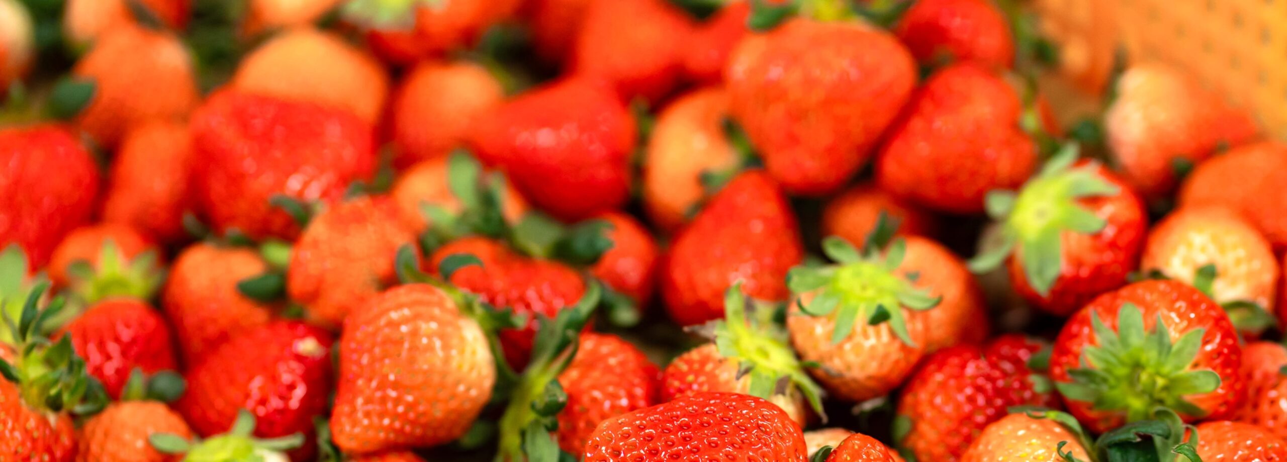 strawberry4